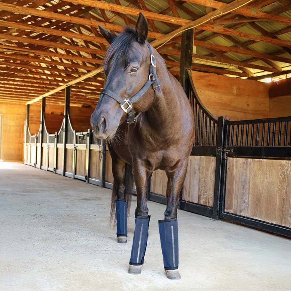 image of Romper Stomper  inStomp -Free in Fly Boots for Horses - 4 pk - Navy - Small