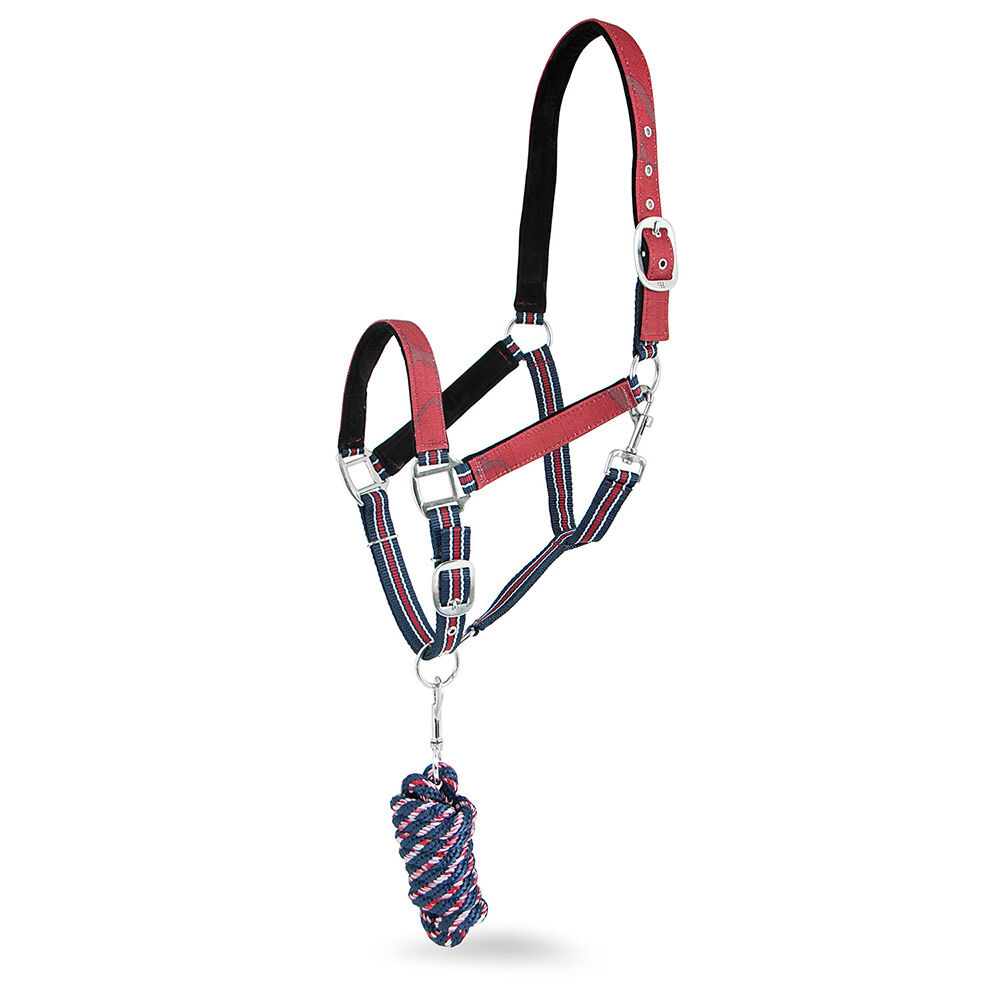 image of Poplar Head Nylon Horse Halter & Lead Matching Set, Merlot Snaffles & Irons, Full