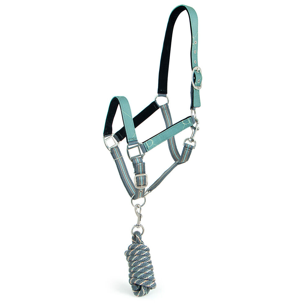 image of Poplar Head Nylon Horse Halter & Lead Matching Set, Spruce Stirrup Irons, Full