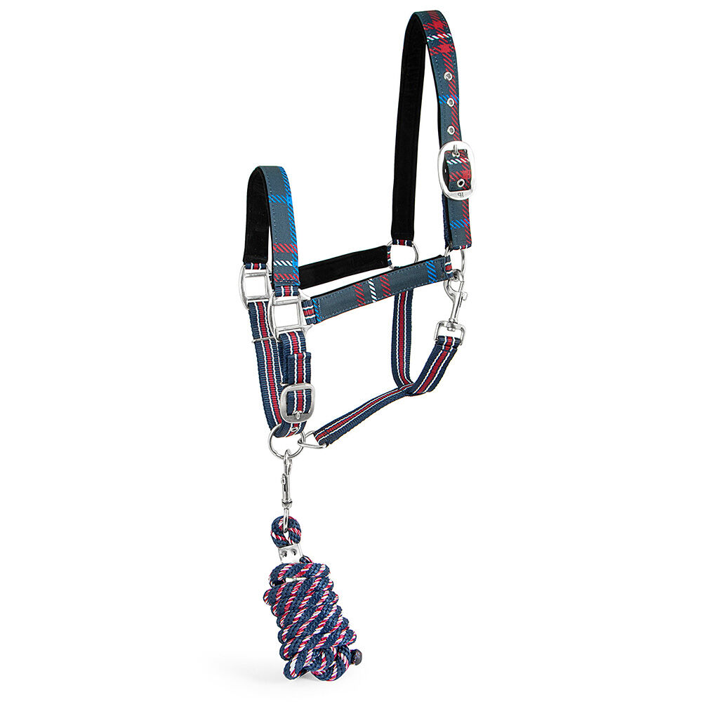 image of Poplar Head Nylon Horse Halter & Lead Matching Set, Navy & Merlot Plaid, Full