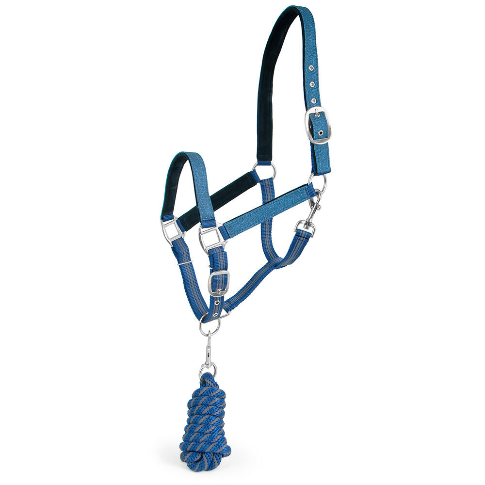 image of Poplar Head Nylon Horse Halter & Lead Matching Set, Blue Jean Baby, Full