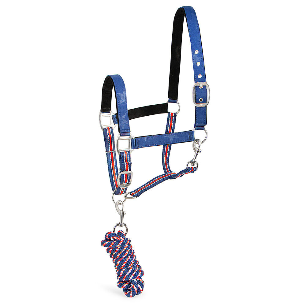 image of Poplar Head Nylon Horse Halter & Lead Matching Set, Allegiance, Full