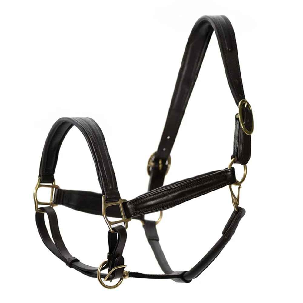image of Softie Padded Leather Horse Halter - Havana - Cob