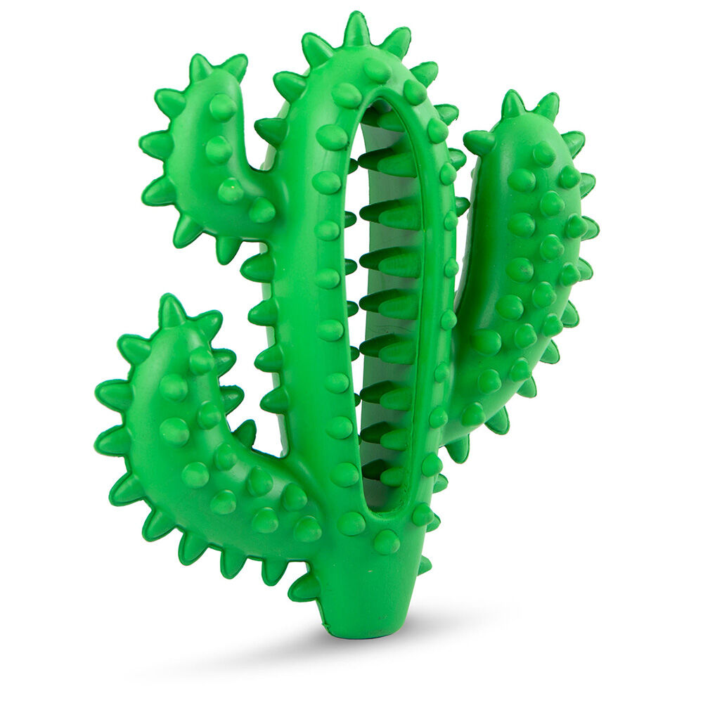image of Cactus Natural Rubber Dental Chew Toy for Dogs for Healthy Chewing Habits, Medium
