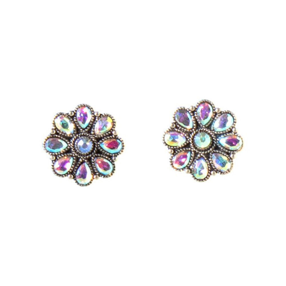 image of Women's Aurora Borealis Stone Earrings