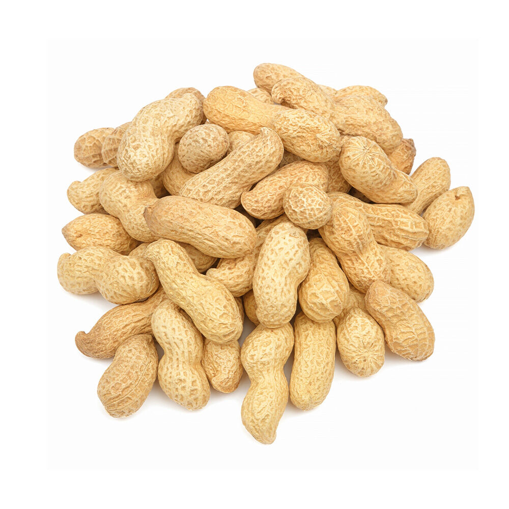 image of Salted Inshell Peanuts, 1 lb