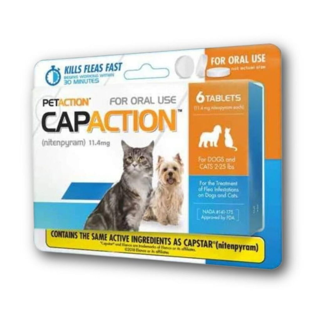 Flea & Tick Chews & Pills