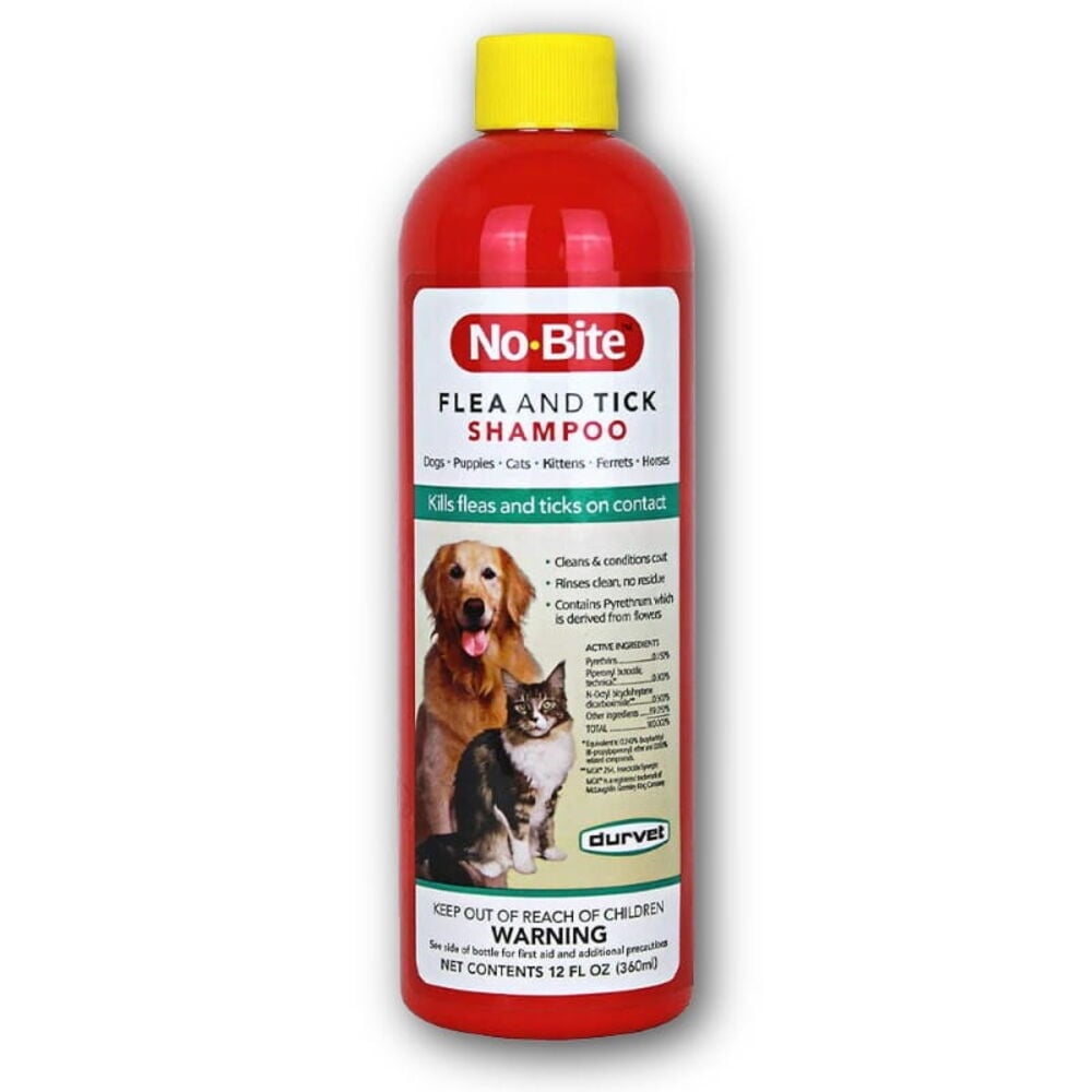 Flea & Tick Grooming
