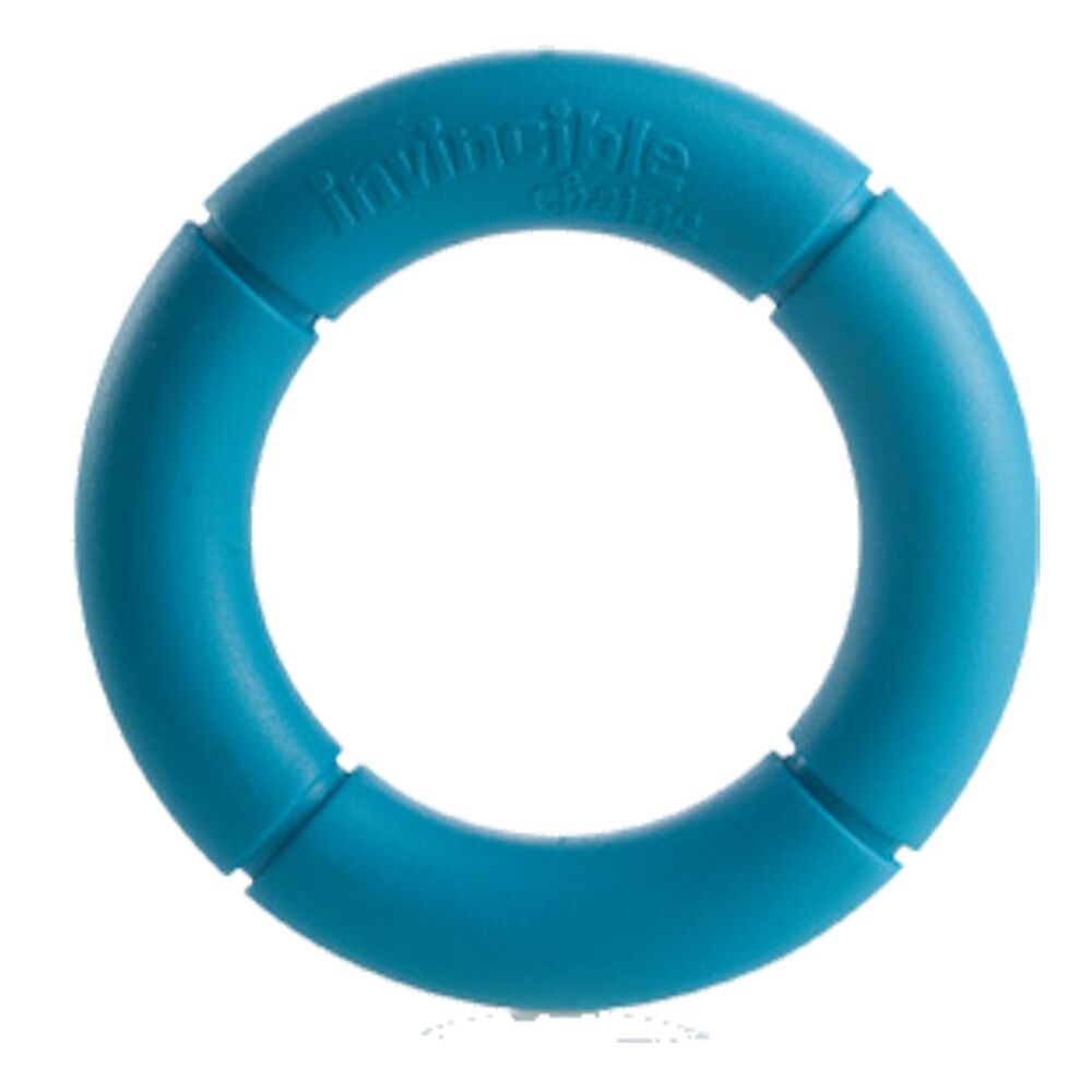 image of Pet Small Invincible Chains Dog Toy, Color May Vary