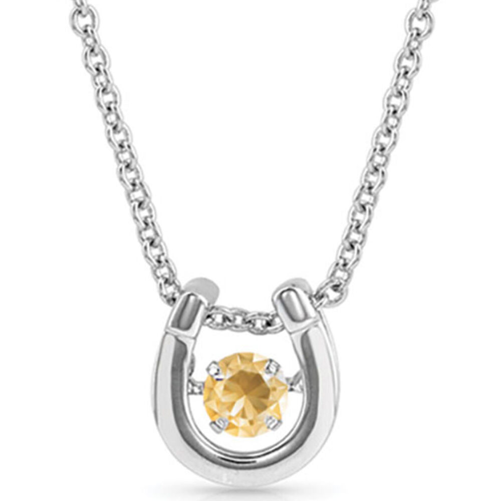 image of Dancing Birthstone Horseshoe Necklace