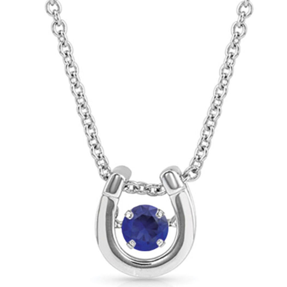 image of Dancing Birthstone Horseshoe Necklace