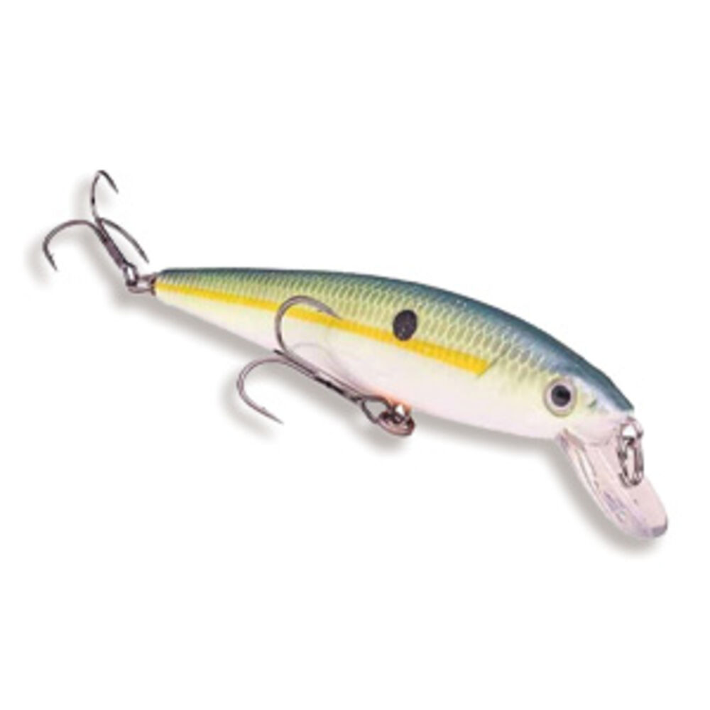 Baits and Lures