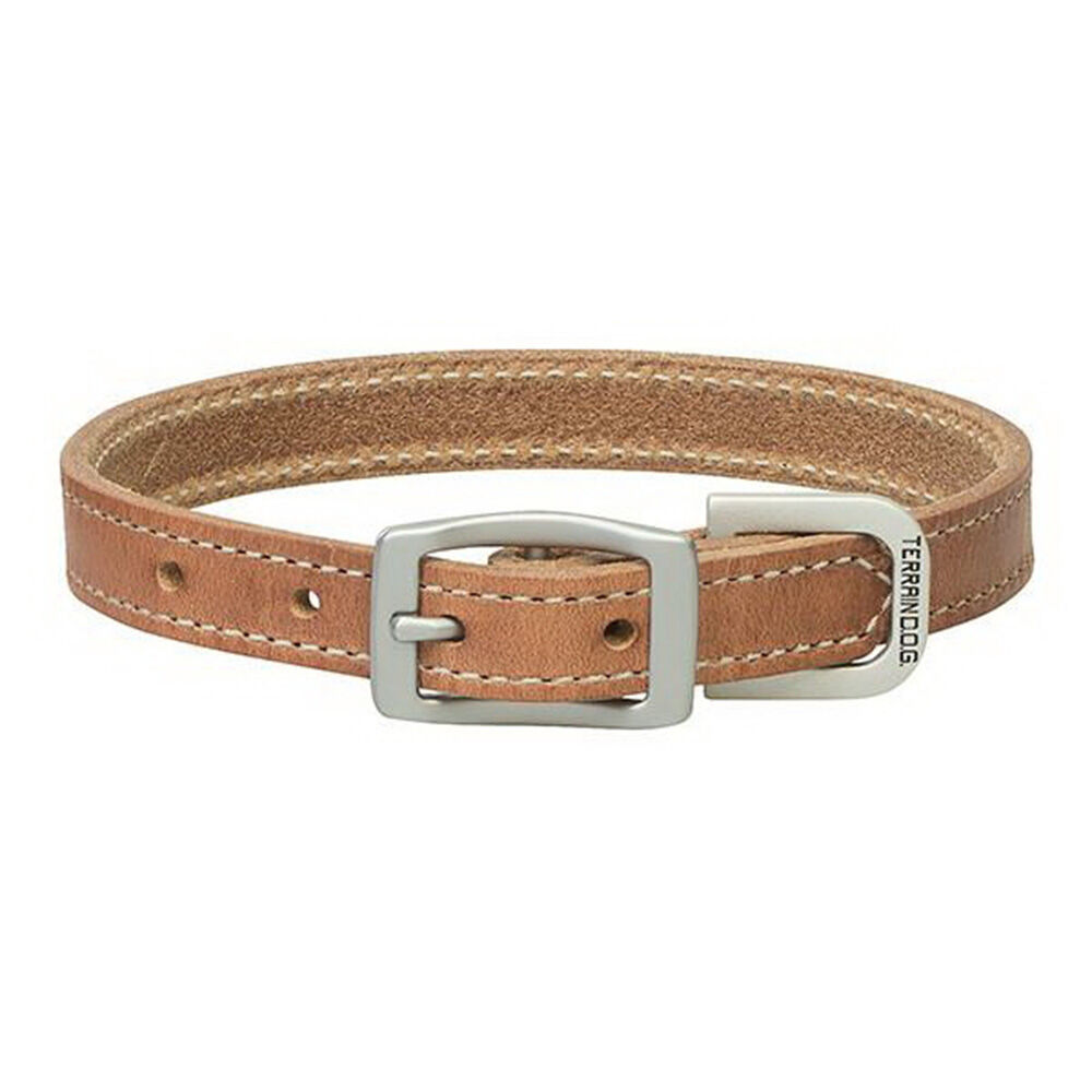 image of Harness Leather Dog Collar, 3/4-inch x 13-inch