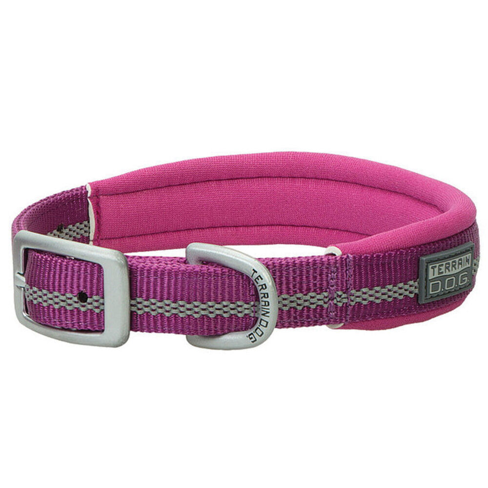 image of Reflective Neoprene Lined Dog Collar, 3/4-inch x 13-inch, Purple