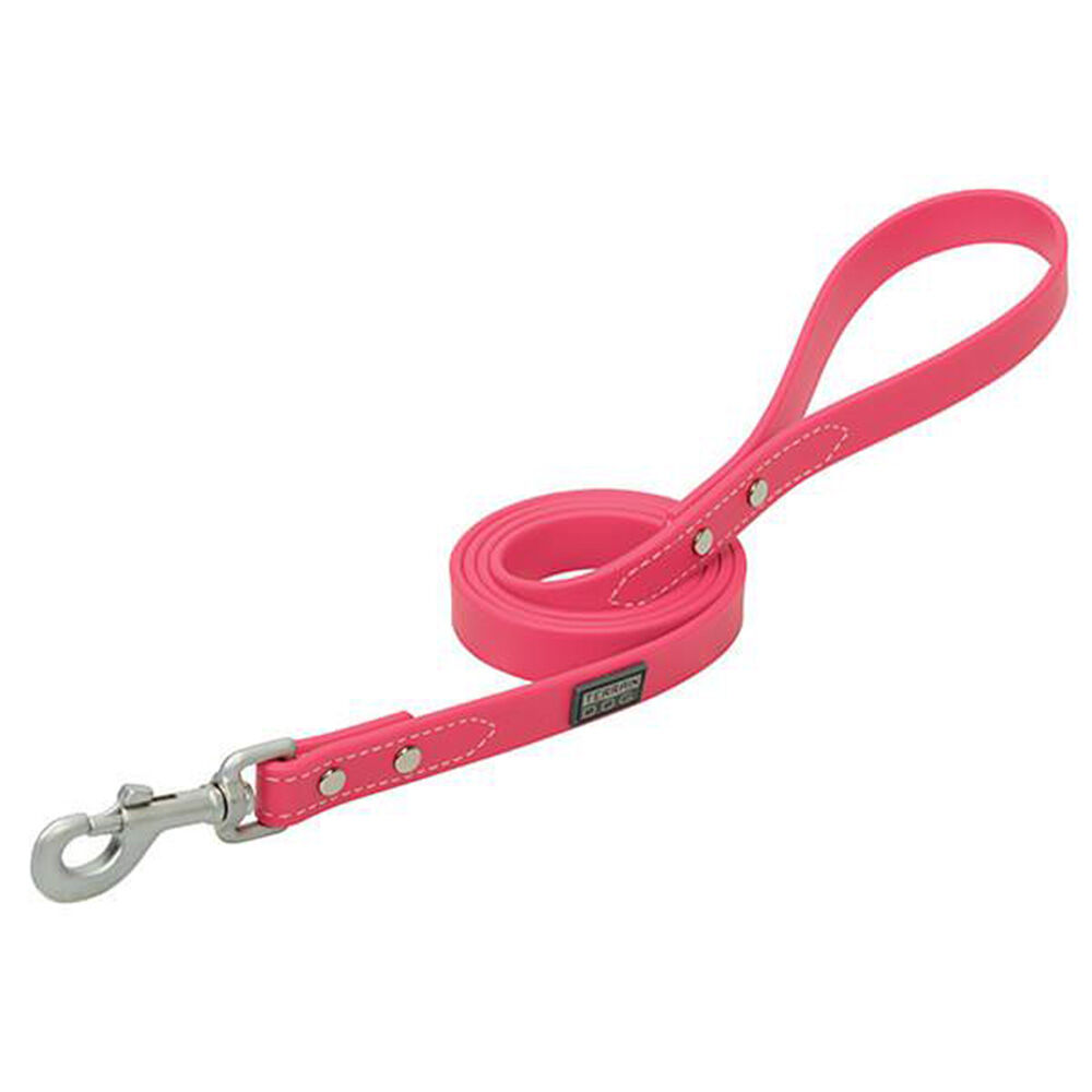 image of X-Treme Adventure Dog Leash, 3/4 in x 6 ft