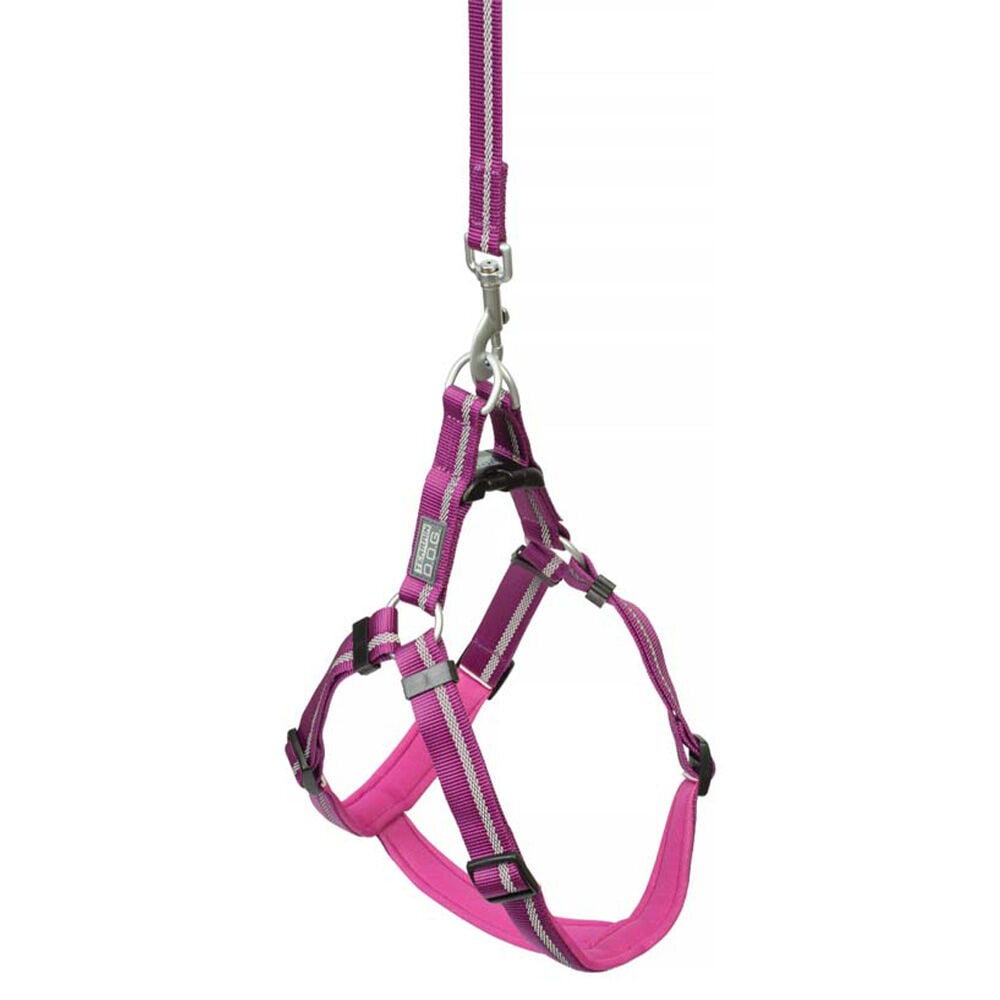 image of Reflective Neoprene Lined Dog Harness, Small, Purple