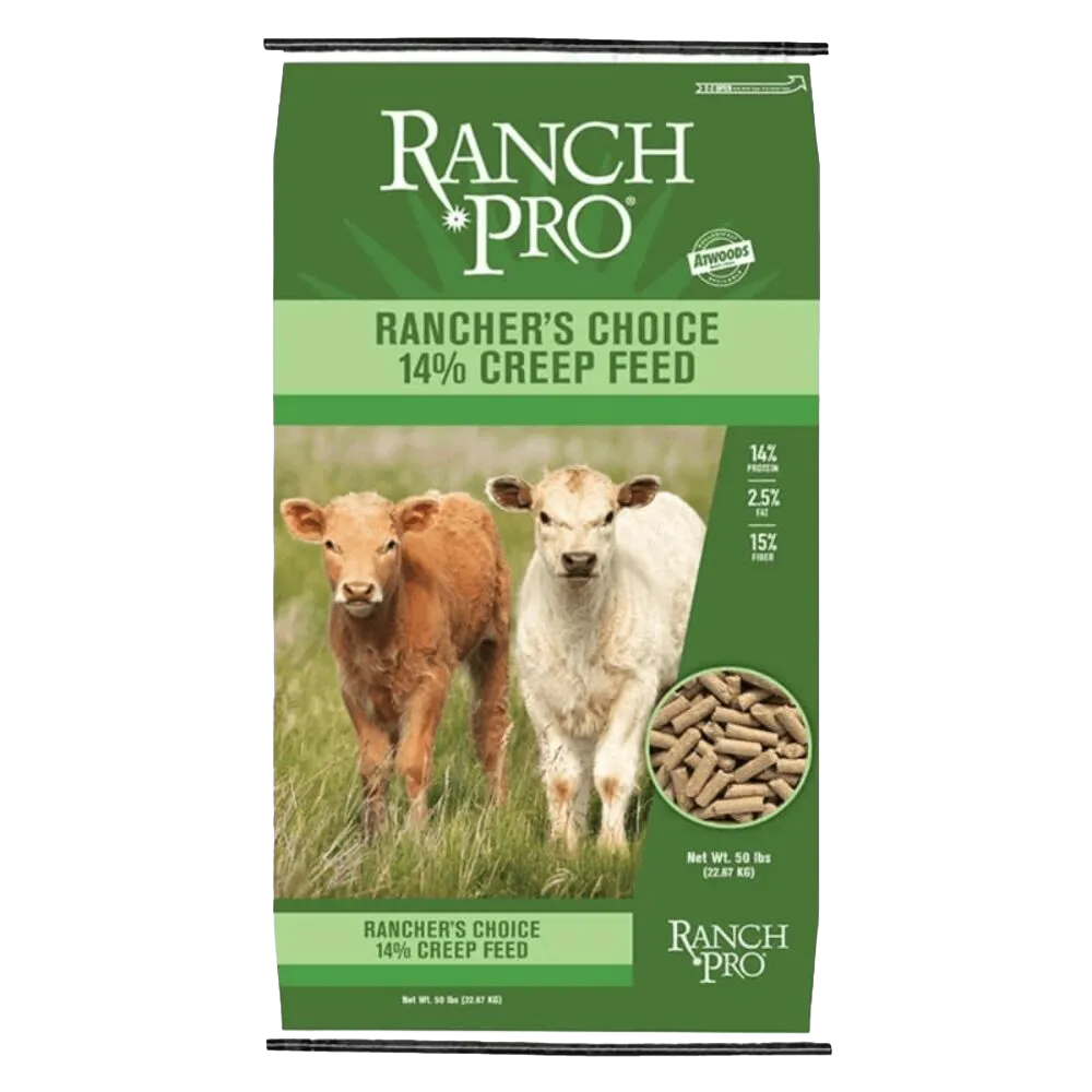 Cattle Feed
