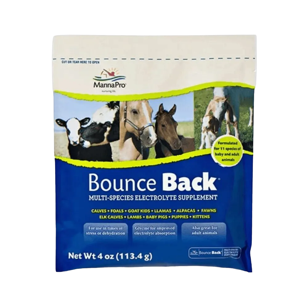 Horse Feed Supplements