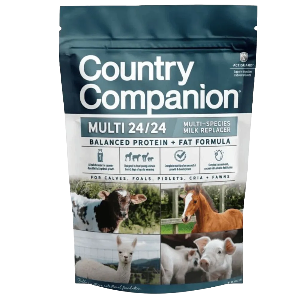 Pig Feed Supplements