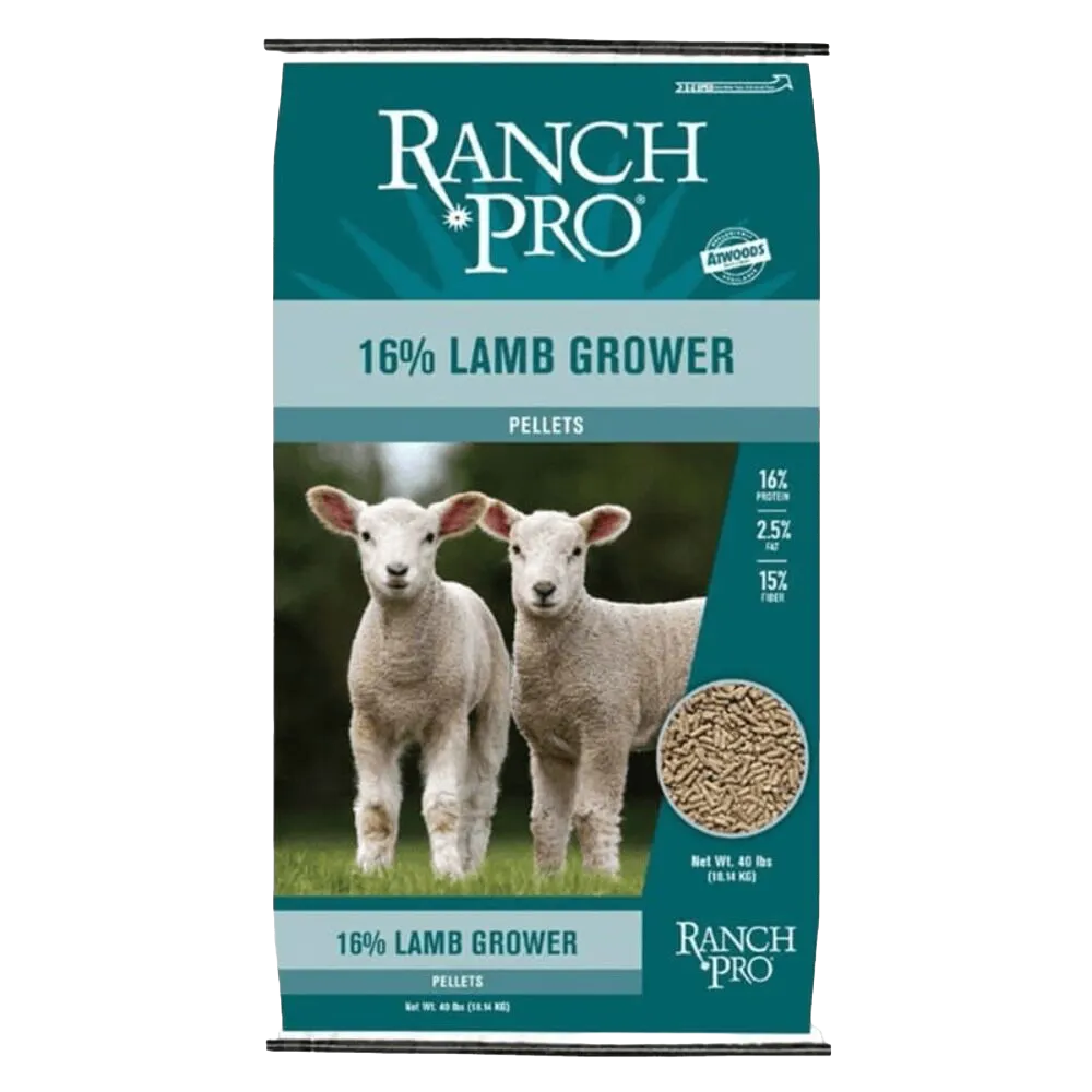 Sheep Feed
