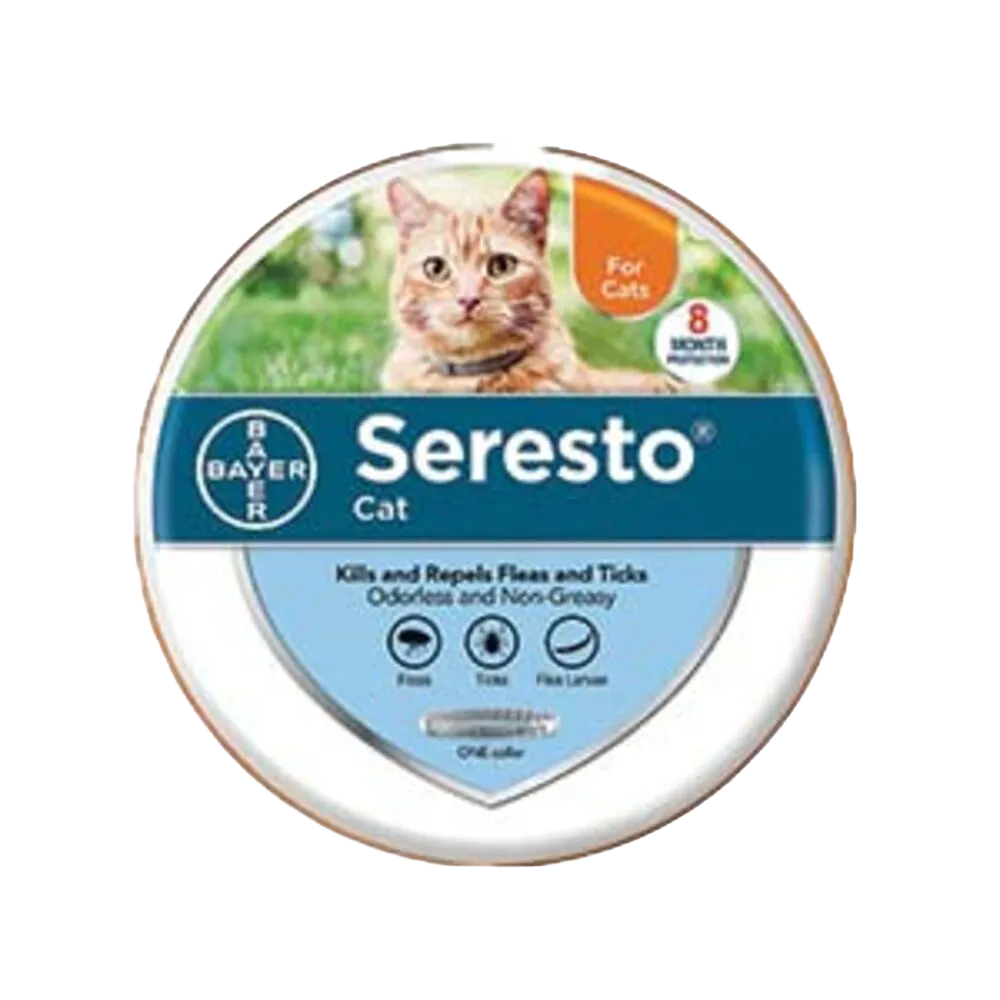 Cat Flea and Tick