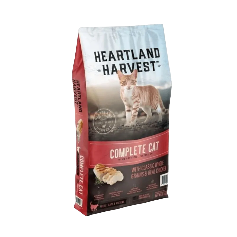 Kitten Food
