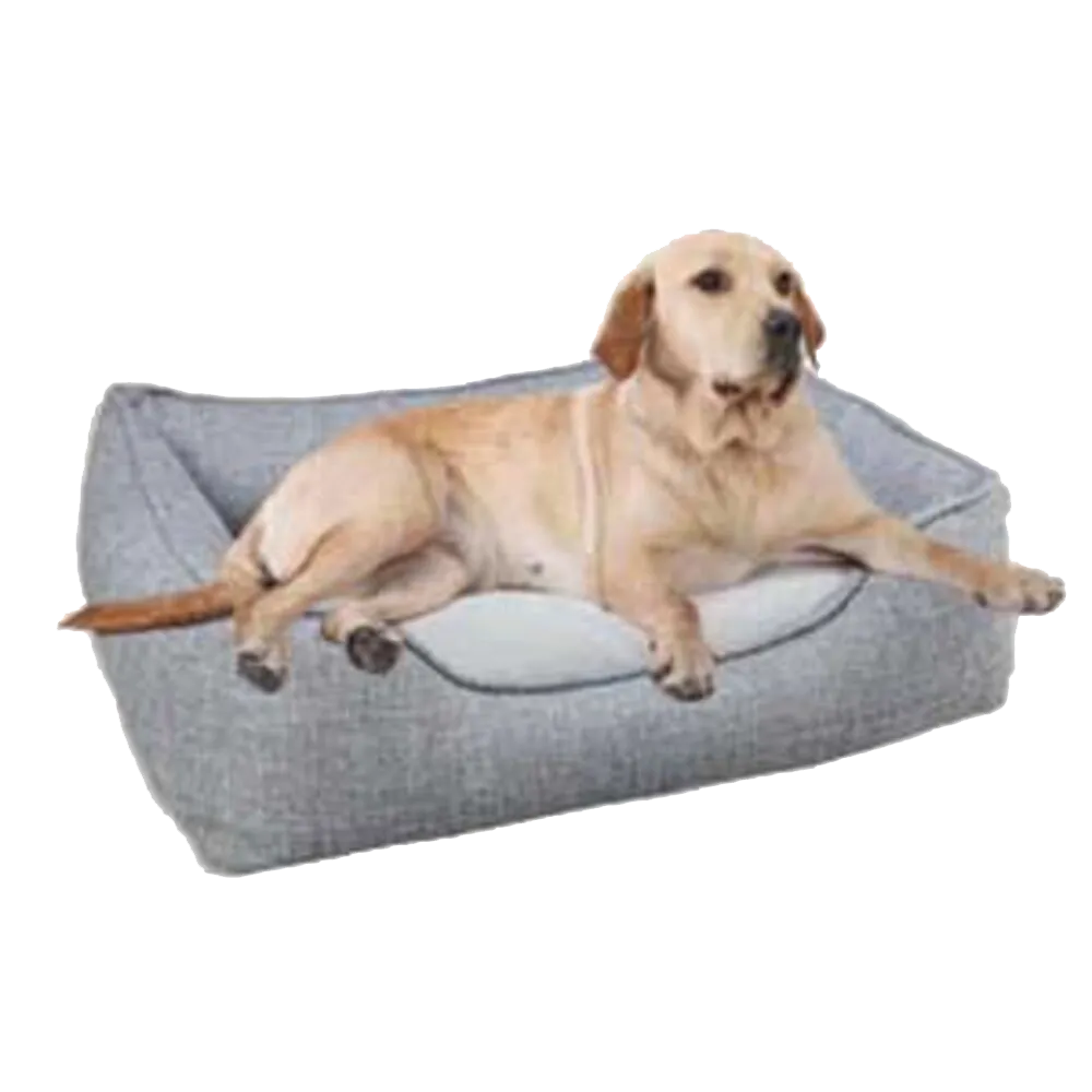 Dog Beds