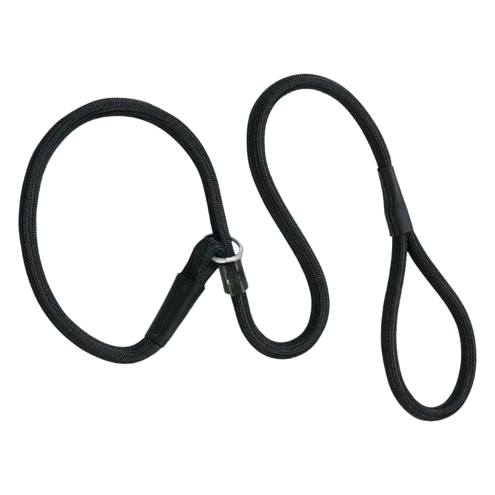 Dog Leads & Tie Outs
