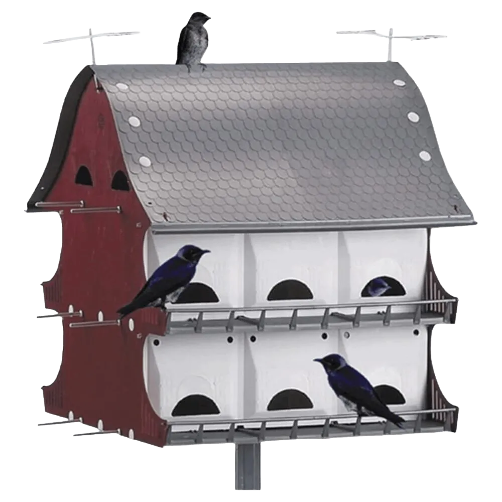 Wild Bird Feeders